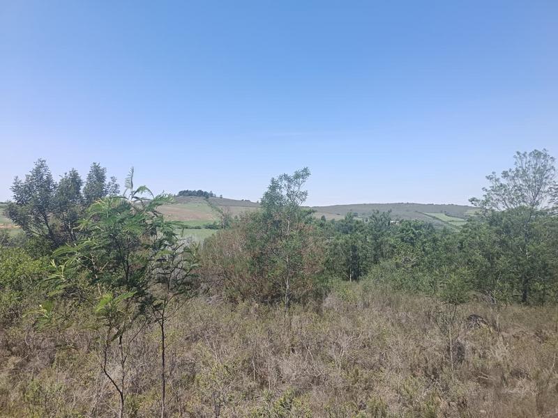 0 Bedroom Property for Sale in Albertinia Western Cape